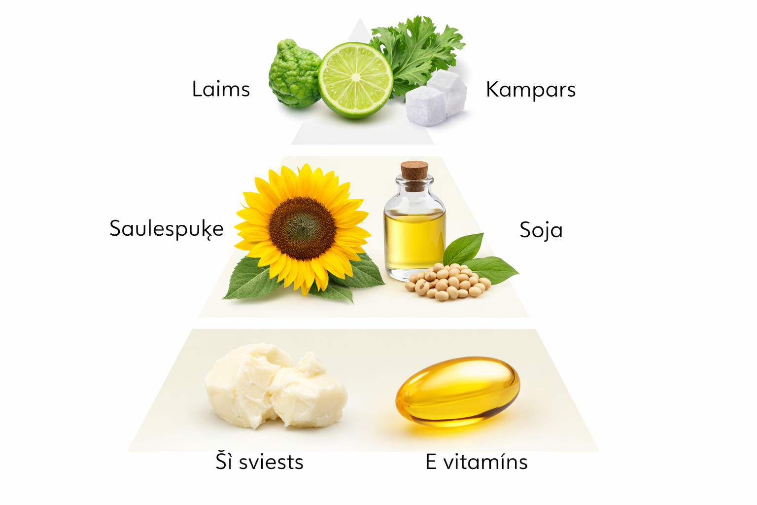 SF WLB/06: wholesome lip butter 10 ml